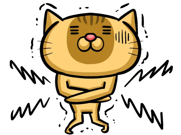 猫がお腹を壊す