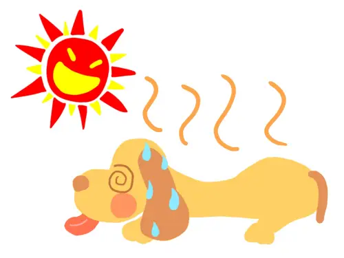 犬の熱中症