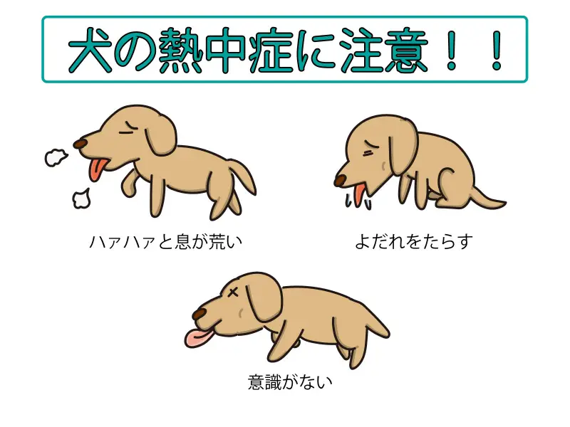 犬の熱中症のサイン
