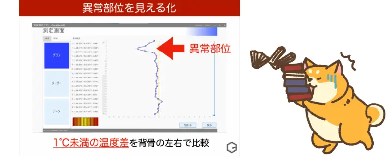 ホメオライン計測
