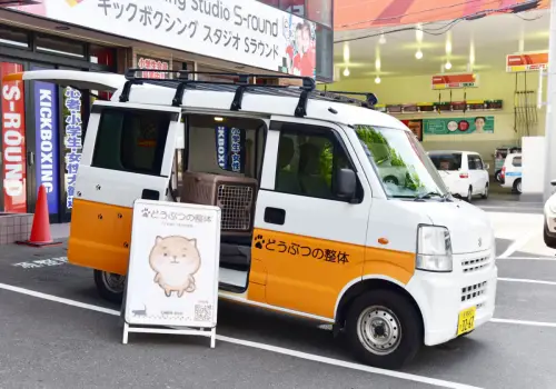 動物の整体カー