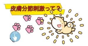 皮膚分節刺激って？