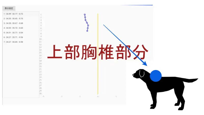 上部の胸椎計測